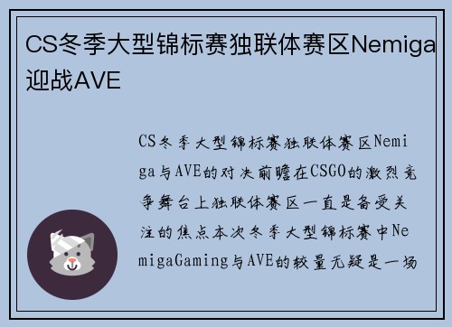 CS冬季大型锦标赛独联体赛区Nemiga迎战AVE