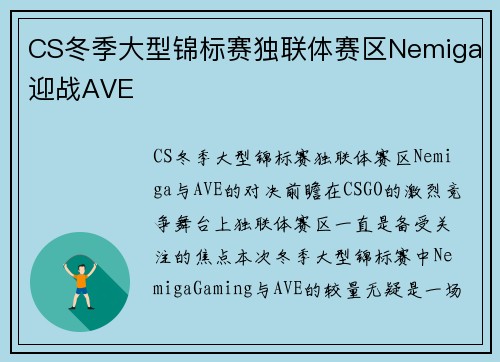 CS冬季大型锦标赛独联体赛区Nemiga迎战AVE
