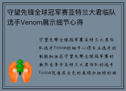 守望先锋全球冠军赛亚特兰大君临队选手Venom展示细节心得
